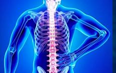 A Pistoia presso Kineia operano specialisti in chirurgia vertebrale, con appuntamenti in tempi estremamente rapidi.